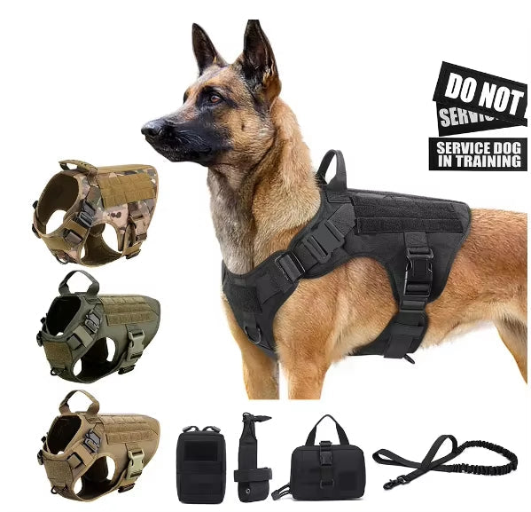 Belgian Malinois wearing the black tactical no pull dog harness, with color options and leash set