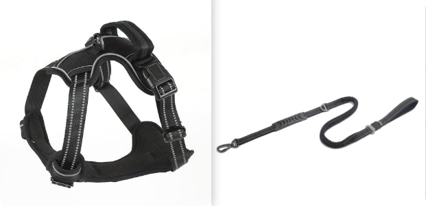 Dog harness vest — padded breathable fit for small to large dogs