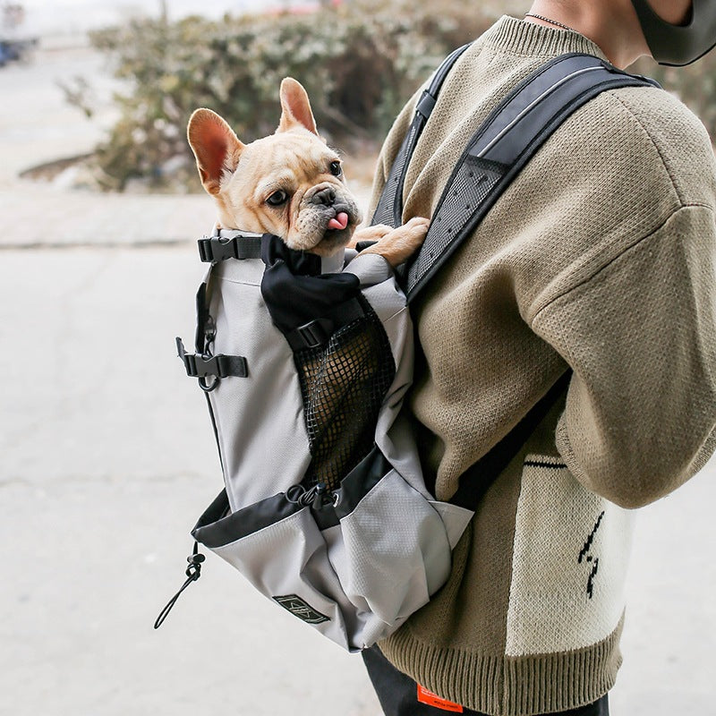Dog carrier backpack for hands-free travel with small dogs