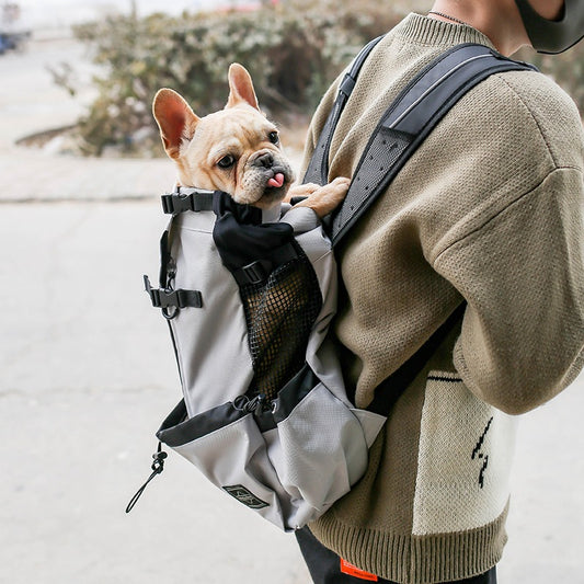 Dog carrier backpack for hands-free travel with small dogs