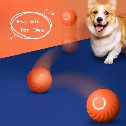 Gravity Jumping Ball for dogs — interactive self-bouncing chew toy, blue