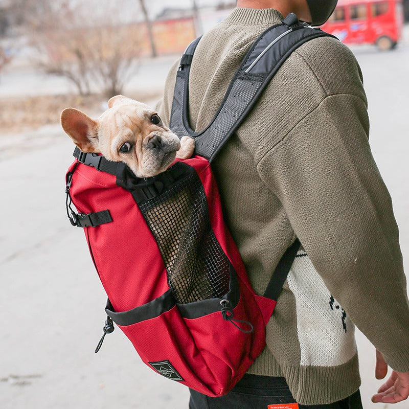Dog riding in a portable travel backpack carrier, head out