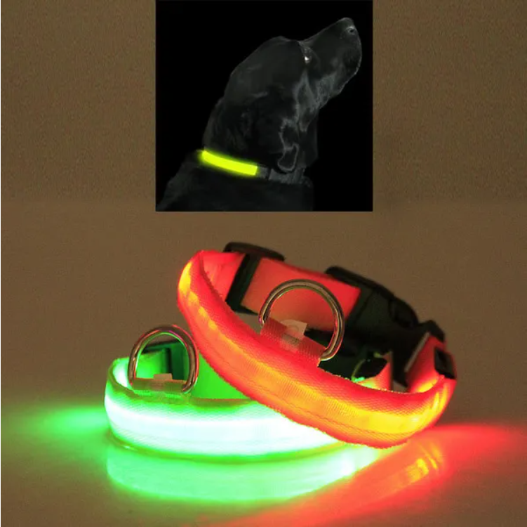 Black dog wearing the LED halo collar at night, with red and green collars glowing