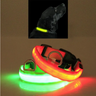 Black dog wearing the LED halo collar at night, with red and green collars glowing