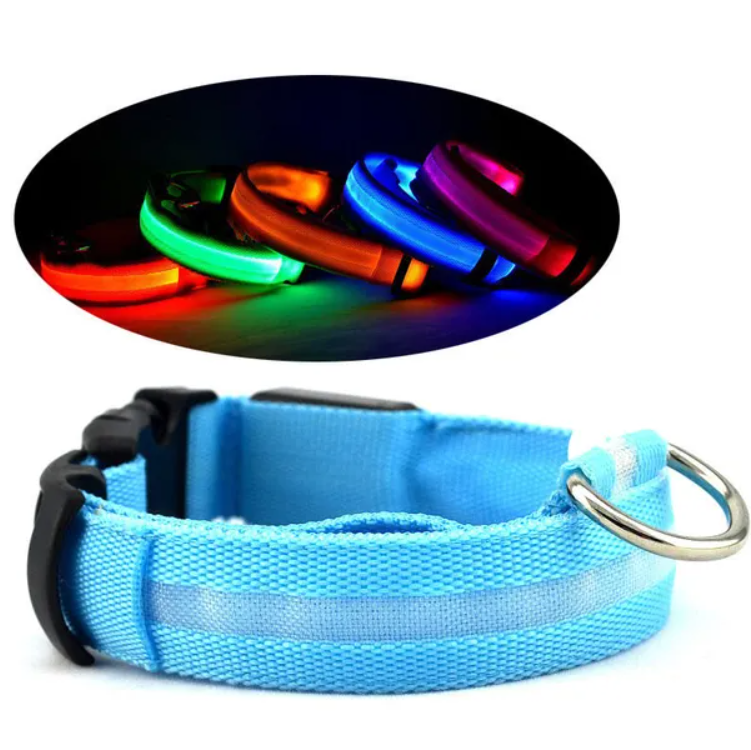 LED halo dog collar in daylight showing the adjustable strap, buckle and D-ring, with the colours glowing at night