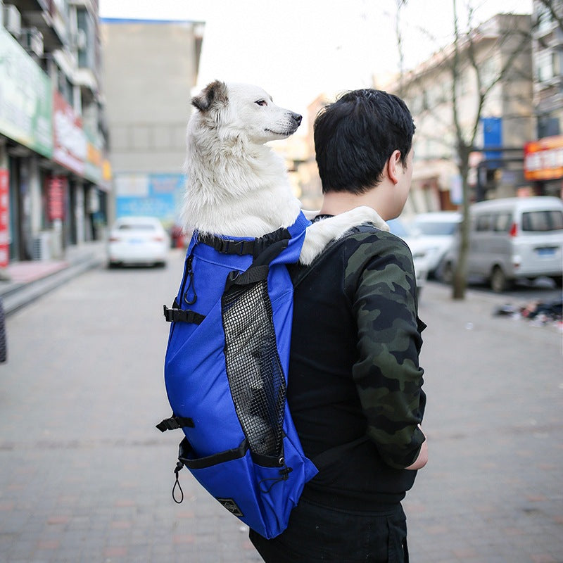 Double-shoulder pet carrier backpack with mesh ventilation