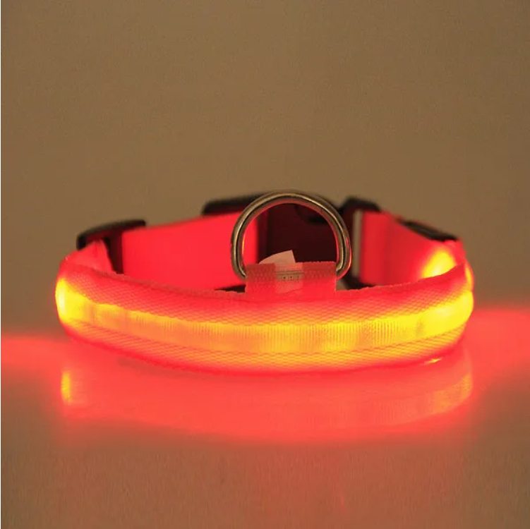 Red LED halo dog collar glowing — close-up of the light strip and D-ring