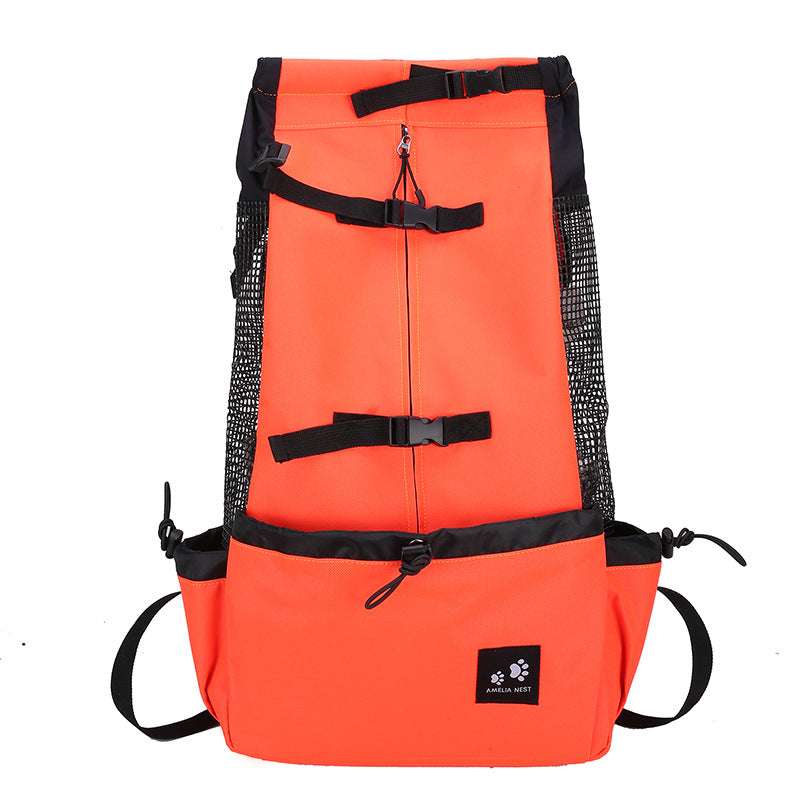 Small dog in a front travel carrier backpack on a walk
