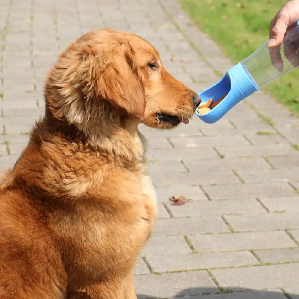 2-in-1 Dog Water & Food Travel Bottle – Leak-Proof, Multi-Color Options