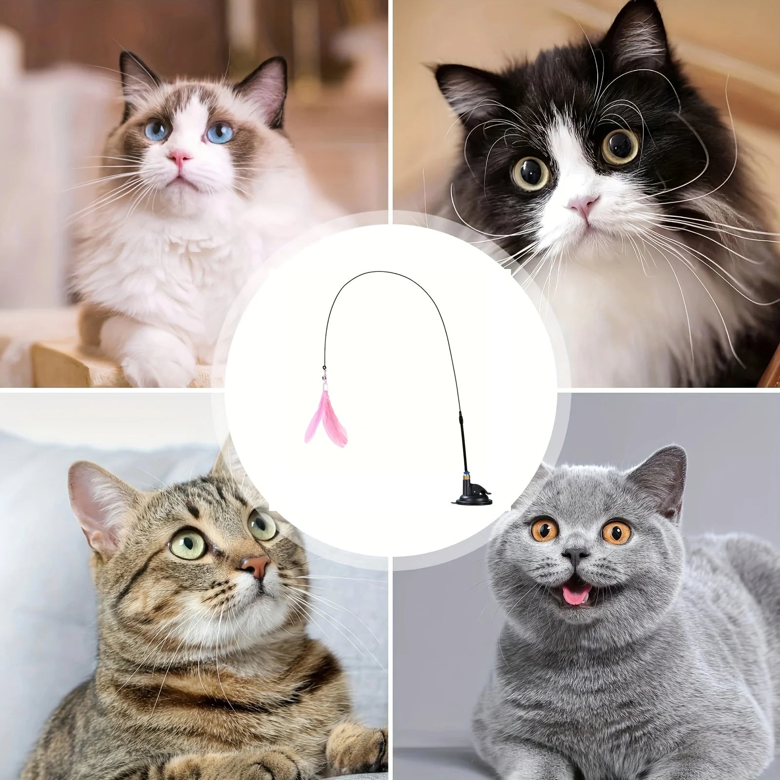 Cat Teaser Toy - Interactive Bell & Feather Wand - Ultimate Cat Toy