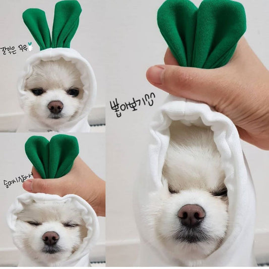 Cute Fruit Dog Hoodie – Warm Winter Fleece Sweater for Small Dogs