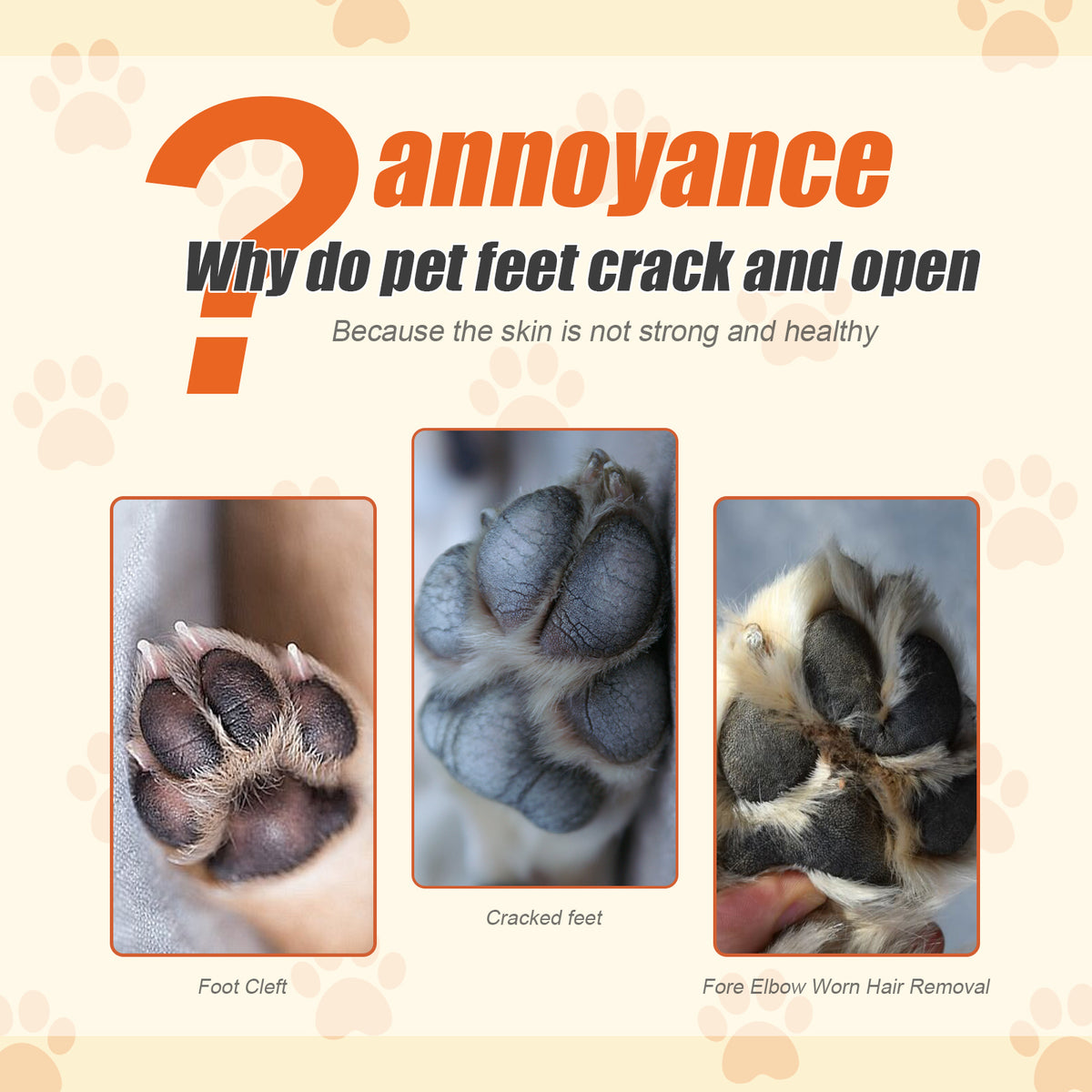 Natural Paw Balm for Dogs – Moisturizing Paw Wax, Protects & Heals Dry Cracked Paws
