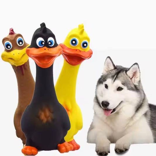 Funny Screaming Chicken Dog Toy – 3 Pack Squeaky Latex Chew Toys
