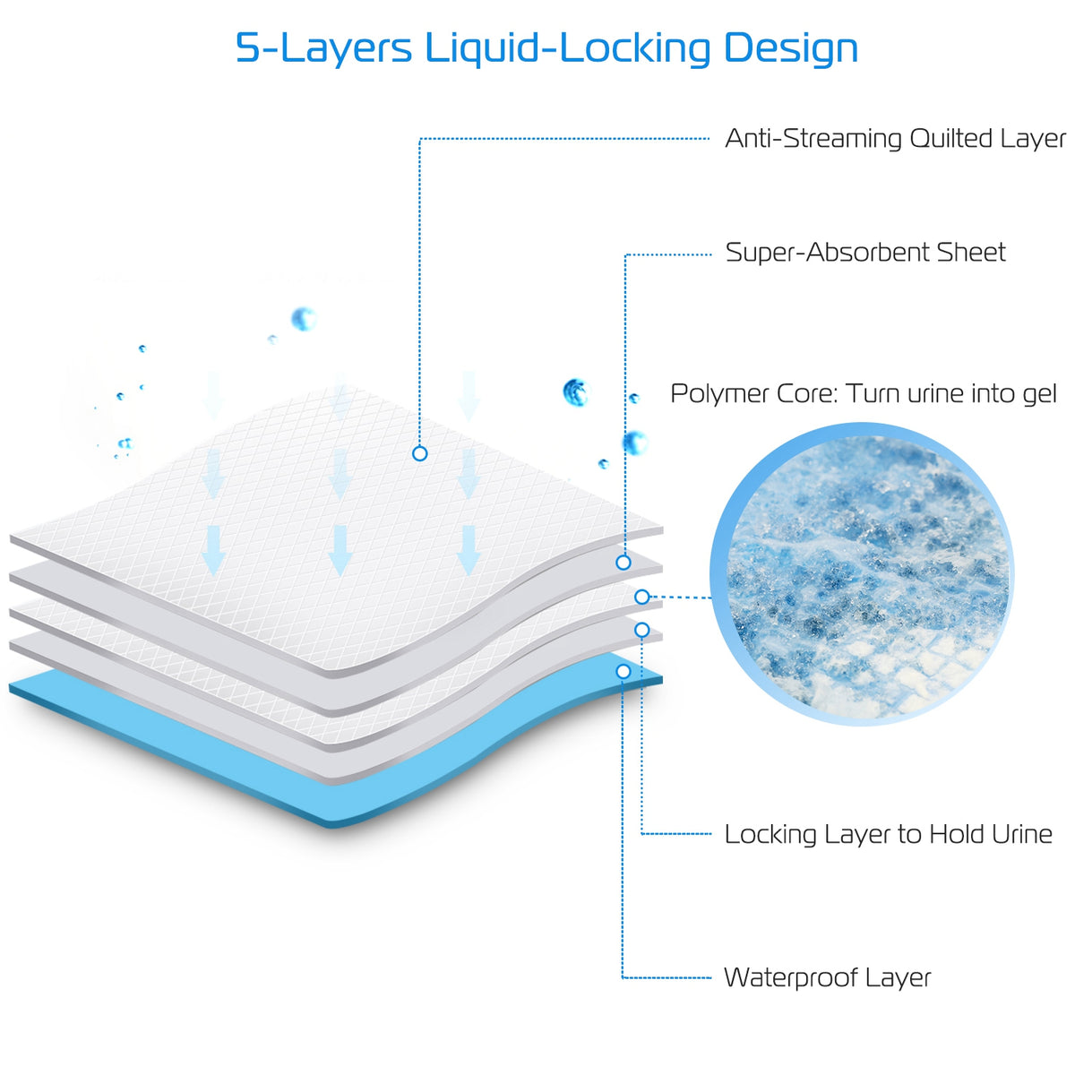 50-Pack Ultra-Absorbent Dog Training Pads – Leak-Proof Quick-Dry Puppy Pee Pads